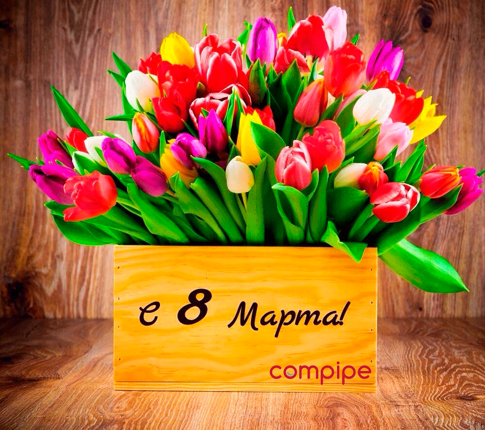 � 8 ����� �� Compipe!